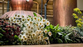 El legado de Los Andes: Los licores hechos con insumos peruanos premiados mundialmente