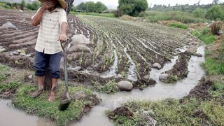 Yara: “En 11 años no será posible practicar la agricultura tal como lo conocemos ante el calentamiento global”