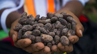 Cadmio: No habrá prórroga de medida de la UE que pone en jaque al cacao peruano