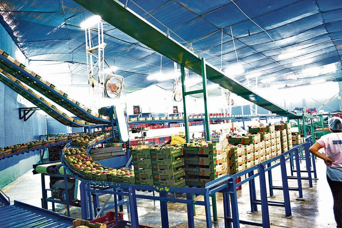 Agromar compró en el 2021 la planta de procesamiento de Huacho a Arca Continental Lindley.