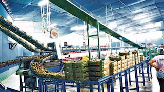 Agromar revela próximas inversiones para ampliar planta que compró a Lindley