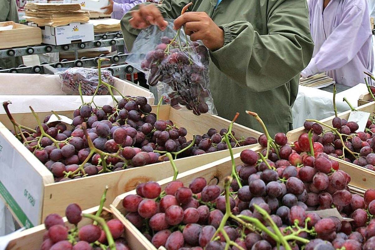 Perú se ubicó como el noveno proveedor mundial de frutas el año pasado.