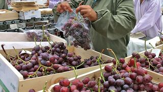 Crecimiento de comercio mundial de alimentos impulsará agroexportaciones peruanas