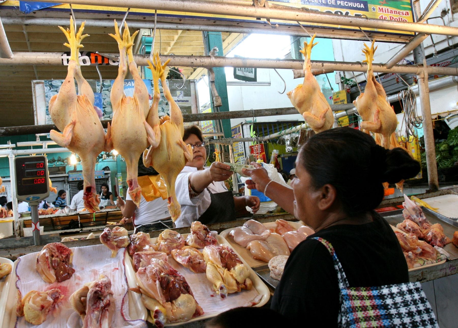 Ya en la última semana, el precio del pollo subió a S/ 12.95 por kilogramo en los mercados minoristas de Lima Metropolitana. (Foto: Andina)