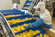 Emergent Cold y su plan para instalar y comprar almacenes frigoríficos en Perú