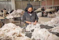 Organizan expoferia para revalorar productos relacionados a camélidos sudamericanos