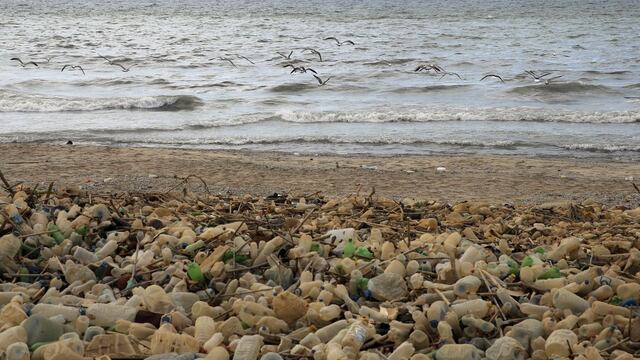 Editorial de Bloomberg: plástico invade el océano; la tecnología puede ayudar