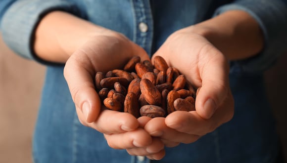 El cacao peruano responde al 3% de la demanda mundial. Foto: gob.pe