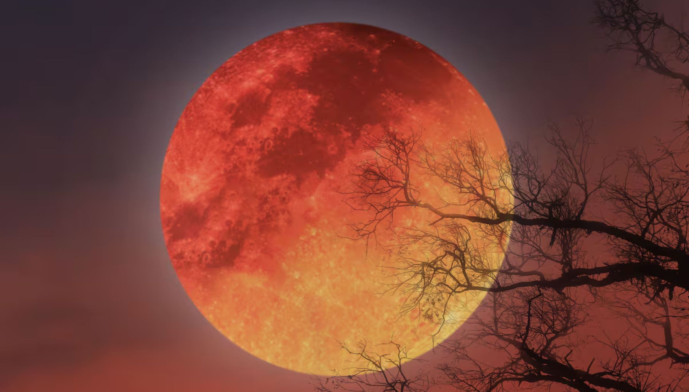 Conoce a qué hora empieza el eclipse lunar parcial con Luna de Sangre en Nueva York este 28 de agosto de 2026 y cómo verlo paso a paso. (Foto: ekapol/iStock)
