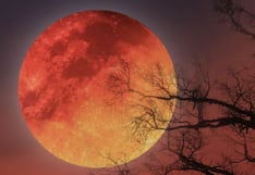 ▷ A qué hora empieza y cómo ver el eclipse lunar parcial con la Luna de Sangre del 27 y 28 de agosto 2026 en Nueva York