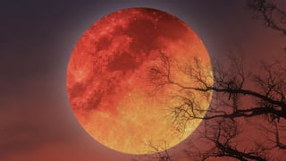 🌕 A qué hora empieza y dónde ver el eclipse lunar parcial con la Luna de Sangre del 27 y 28 de agosto en Nueva York