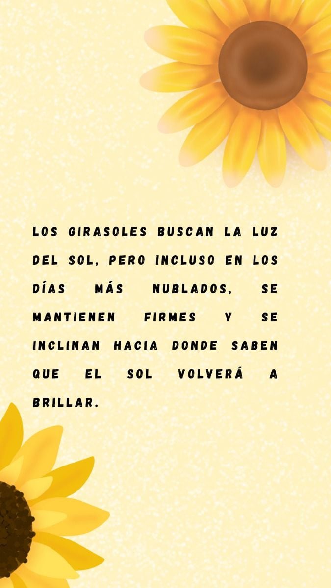 Este sábado 21 de marzo inicia la primavera en México y Estados Unidos, una fecha donde muchas personas regalarán flores amarillas a sus parejas (Foto: Canva.com)