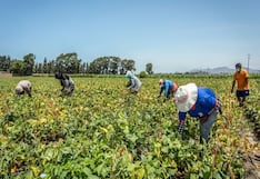 Banco Mundial estima en 6% el potencial de crecimiento de Perú: los frenos identificados