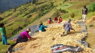 FAO: Perú es uno de los 14 países latinoamericanos que ya cumplieron meta de alimentación