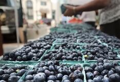 Boluarte en Suiza: Estamos destrabando proyectos para el sector agrario