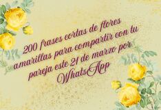 ▷ 200 frases cortas y hermosas de flores amarillas para enviar por WhatsApp a tu pareja el 21 de marzo
