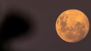 ¿A qué hora ver en vivo la Luna del Lobo?