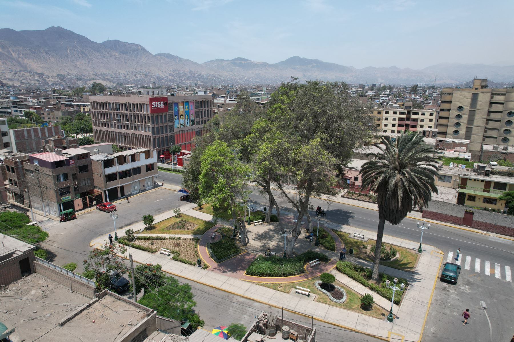 El dictamen fue presentado por la congresista de Perú Libre (PL), Margot Palacios. (Foto: Agencia Andina)