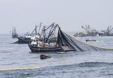 SNP: Pesca tardaría tres temporadas más en recuperarse de las pérdidas del 2023
