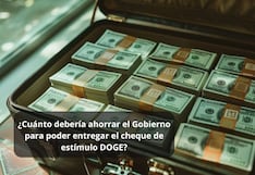 Qué cantidad debería ahorrar el Gobierno para poder hacer el pago del cheque de estímulo DOGE según propuesta