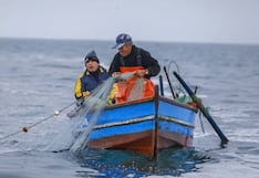 Oleajes: lanzan programa de créditos sin intereses para pescadores afectados