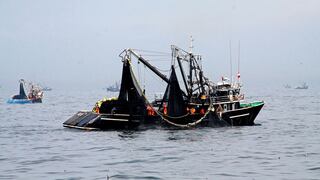 FAO: Capturas de pescado en el mar podrían disminuir hasta un 12% para el 2050