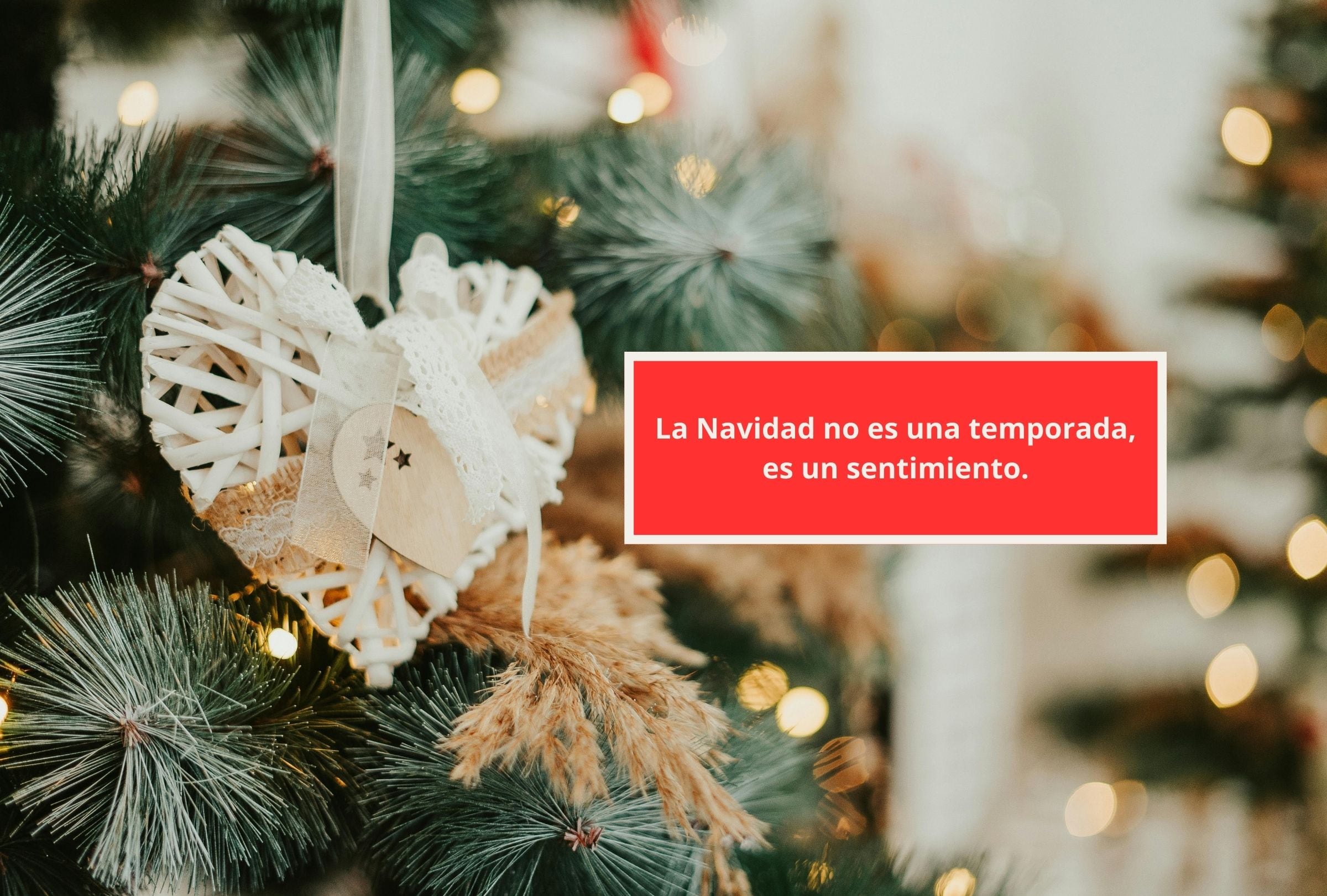 La Navidad no es una temporada, es un sentimiento. (Foto: Composición Gestión Mix)