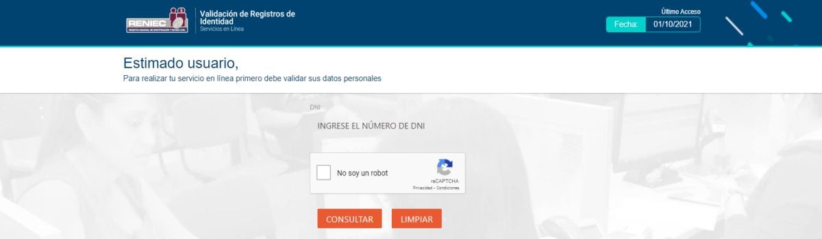 El acceso al RUIPN y la consulta es gratuita. Solo necesitas tener acceso a Internet (Imagen: Reniec)