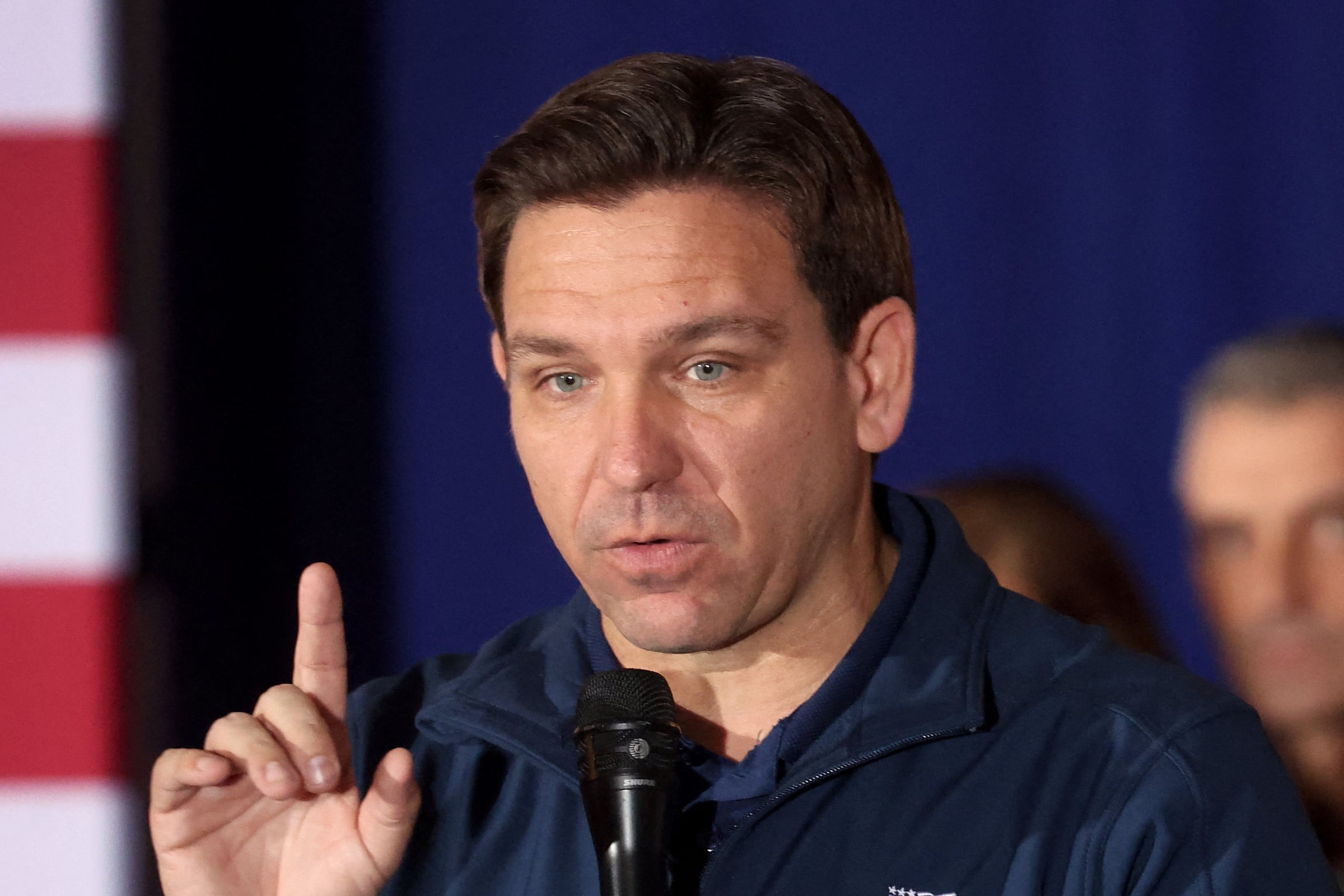 DeSantis no podrá decidir: representante de Florida prepara una ley que prohibiría polémica práctica de dueños de gatos
