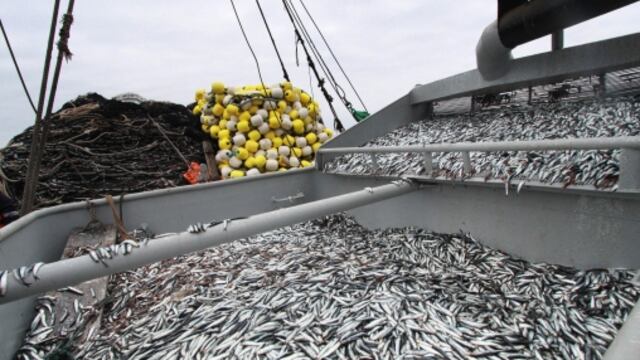 Pesquera Hayduk se adjudica cuota de atún y adicionará US$ 20 millones en facturación de CHD