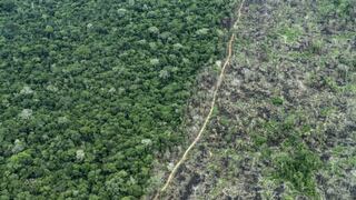 Deforestación en Amazonia brasileña hasta julio alcanza un nuevo récord