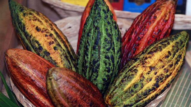 Ventas al exterior del cacao peruano caen ante menores envíos a EE.UU. y la UE 