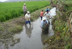 ANA: Más de 14 mil agricultores formalizaron su acceso al agua
