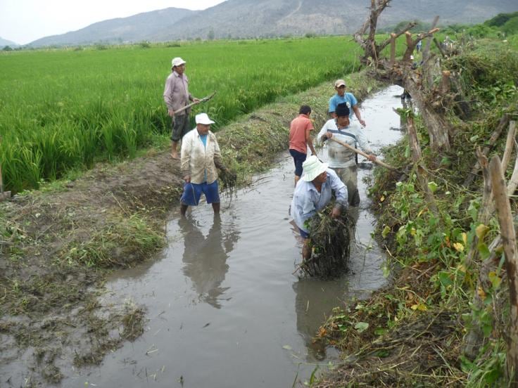 La ANA indicó que viene implementando un proceso gratuito y simplificado de formalización. Foto: ANA