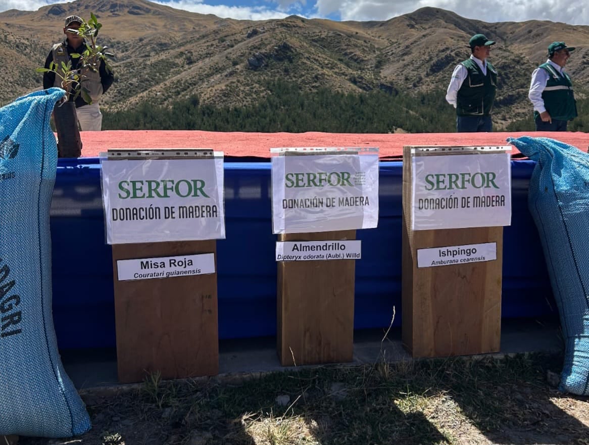 El Servicio Nacional Forestal y de Fauna Silvestre (Serfor) entregó en calidad de donación madera recuperada en acciones de control, por un valor total de S/119,985, para mejorar la infraestructura educativa y los servicios municipales en las provincias de Quispicanchi y Paruro, en el departamento de Cusco. Foto: Serfor