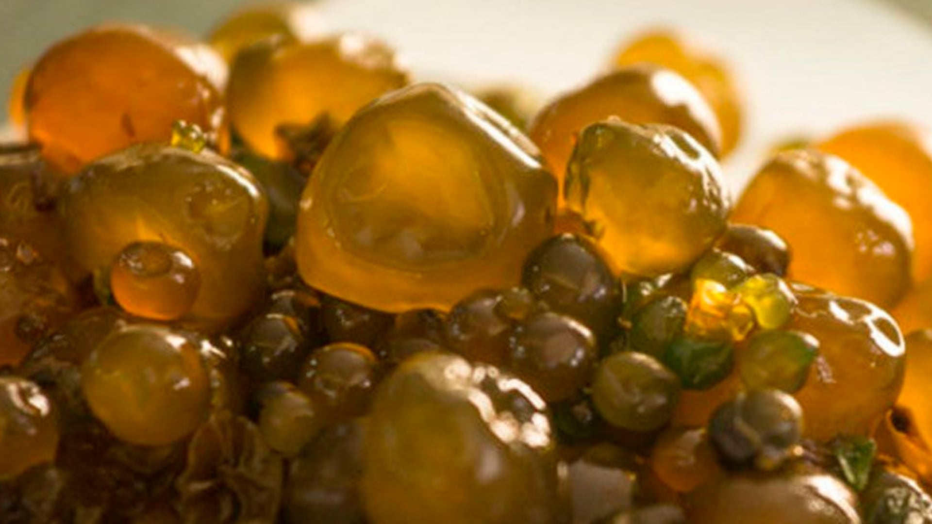 Declaran al cushuro Patrimonio Natural de la Nación. (Foto: Difusión)