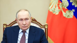 Putin firma decreto que permitirá confiscar empresas dedicadas a la minería y la pesca