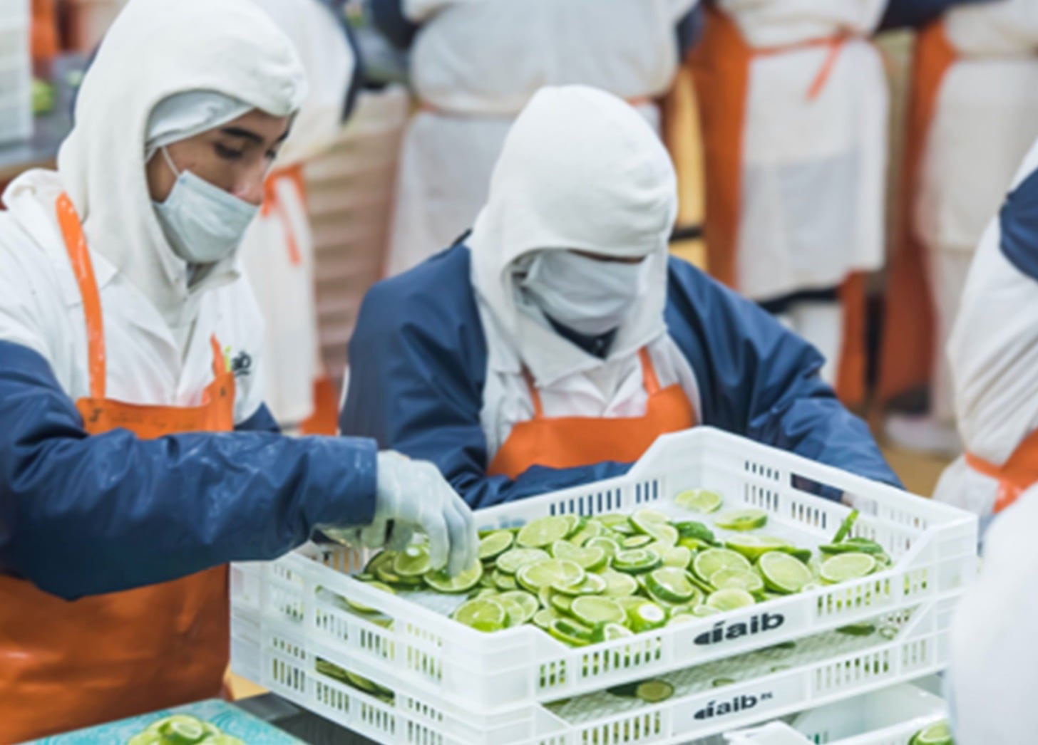 Agroindustrias AIB reportó una caída en ventas durante el primer trimestre del 2026. (Foto: Agroindustrias AIB)