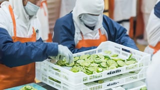 Agroindustrias AIB acumula producción ante menor venta de congelados y reporta pérdidas