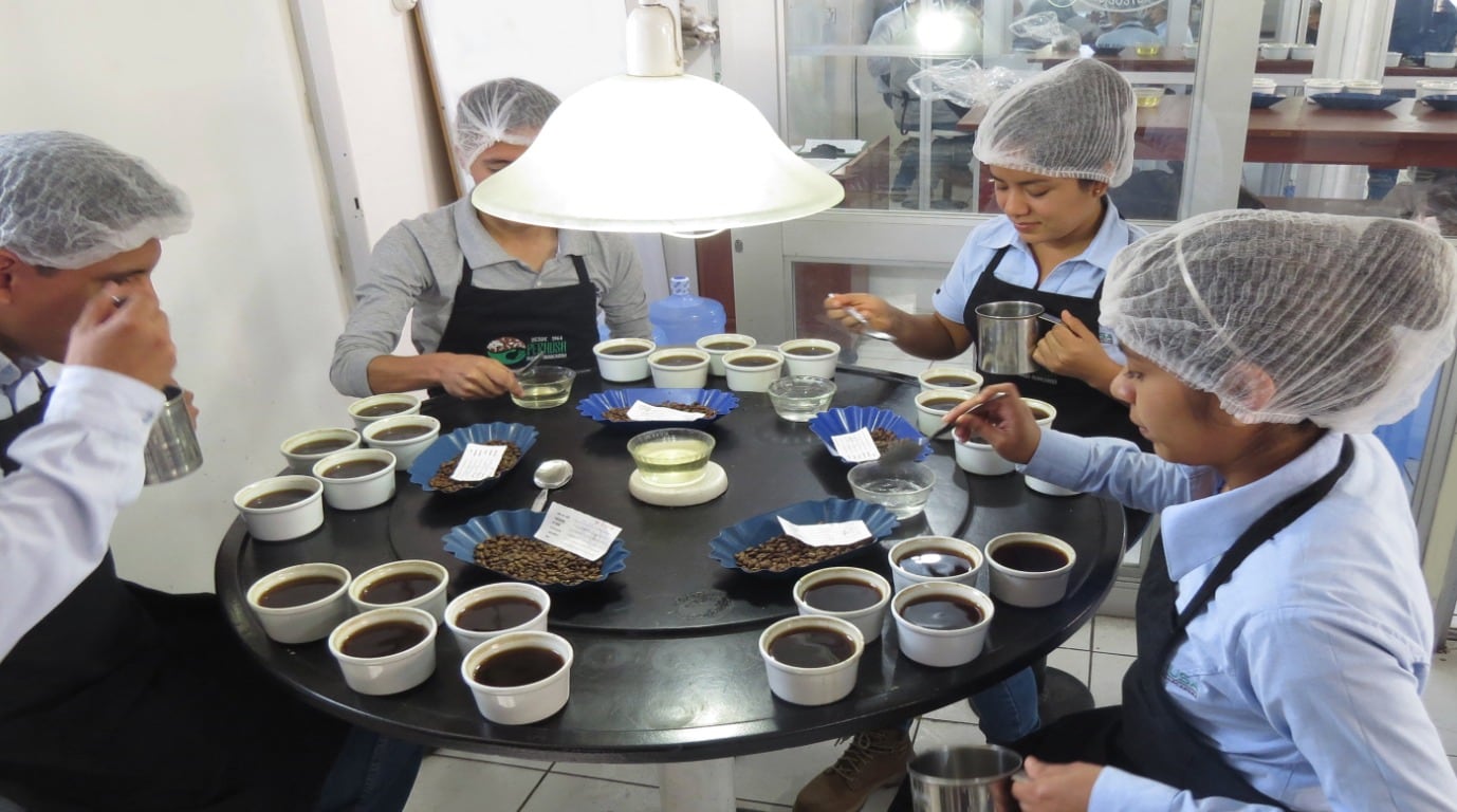 Los Huancaruna Perales apostaron tempranamente por cafés premium, orgánicos y sostenibles.