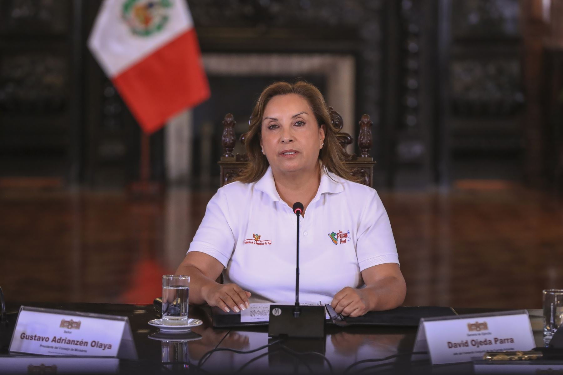 Pese a que la moción presentada también menciona acusaciones de corrupción, crisis económica y presuntos delitos funcionales, el tema de la inseguridad ha cobrado especial relevancia en la coyuntura actual. Foto: Presidencia.