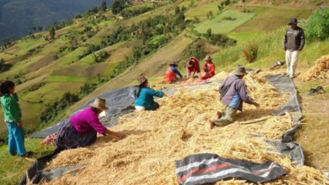 Ministros de Agricultura coordinarán acciones para erradicar el hambre en América Latina