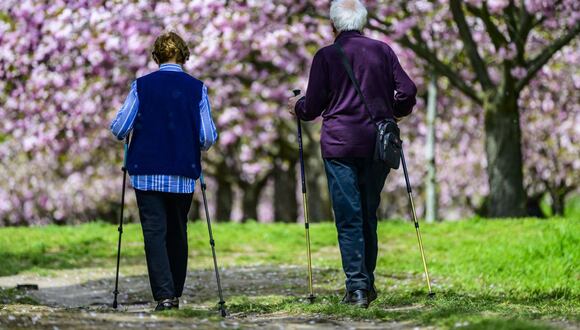 Una pareja de ancianos camina bajo los cerezos en flor en el llamado callejón de los cerezos en flor, en Teltow, a las afueras de Berlín, el 4 de mayo de 2023. (Foto de John MacDougall / AFP)