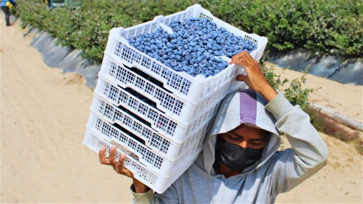 El Niño: pese a impacto, MEF aún espera que economía peruana crezca 3.5% este año