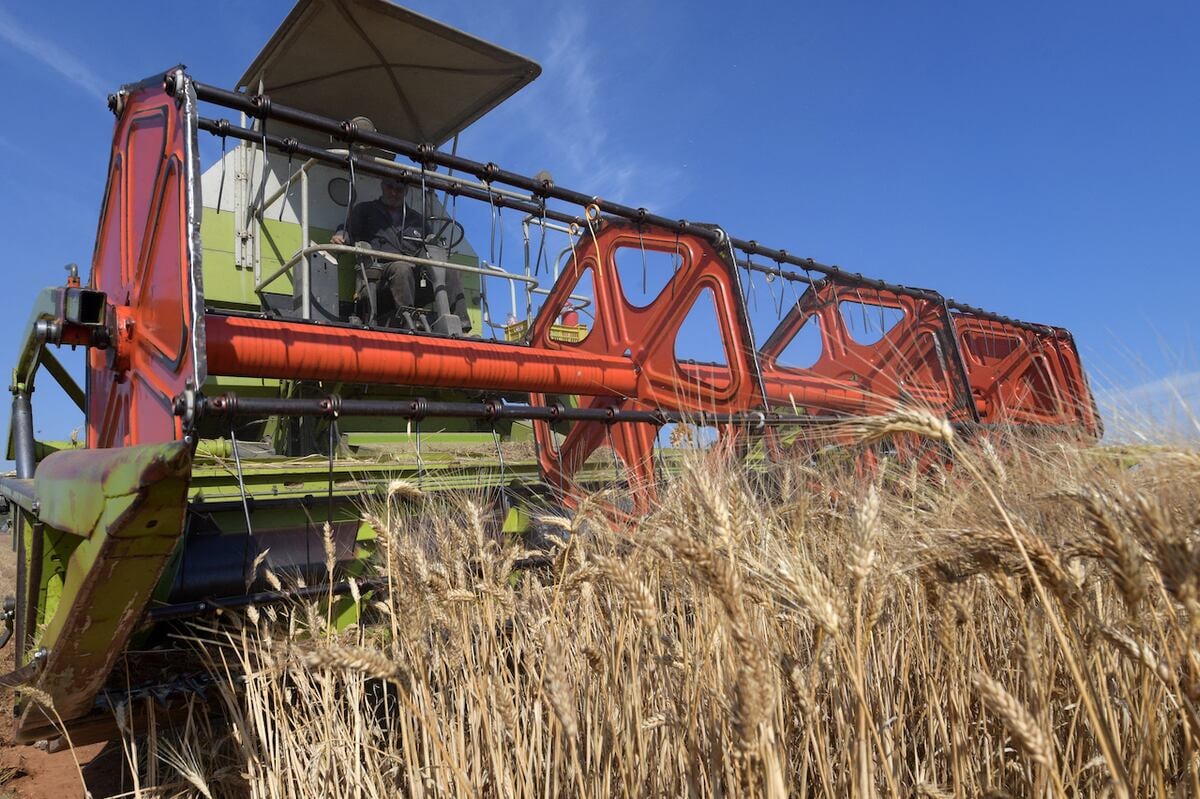 A finales de abril el agua del río Dniéper volvió a las tierras crimeas, donde ahora podrá ser cultivado el cereal procedente de los elevadores de grano de Ucrania. (Foto referencial: Fethi Belaid | AFP)