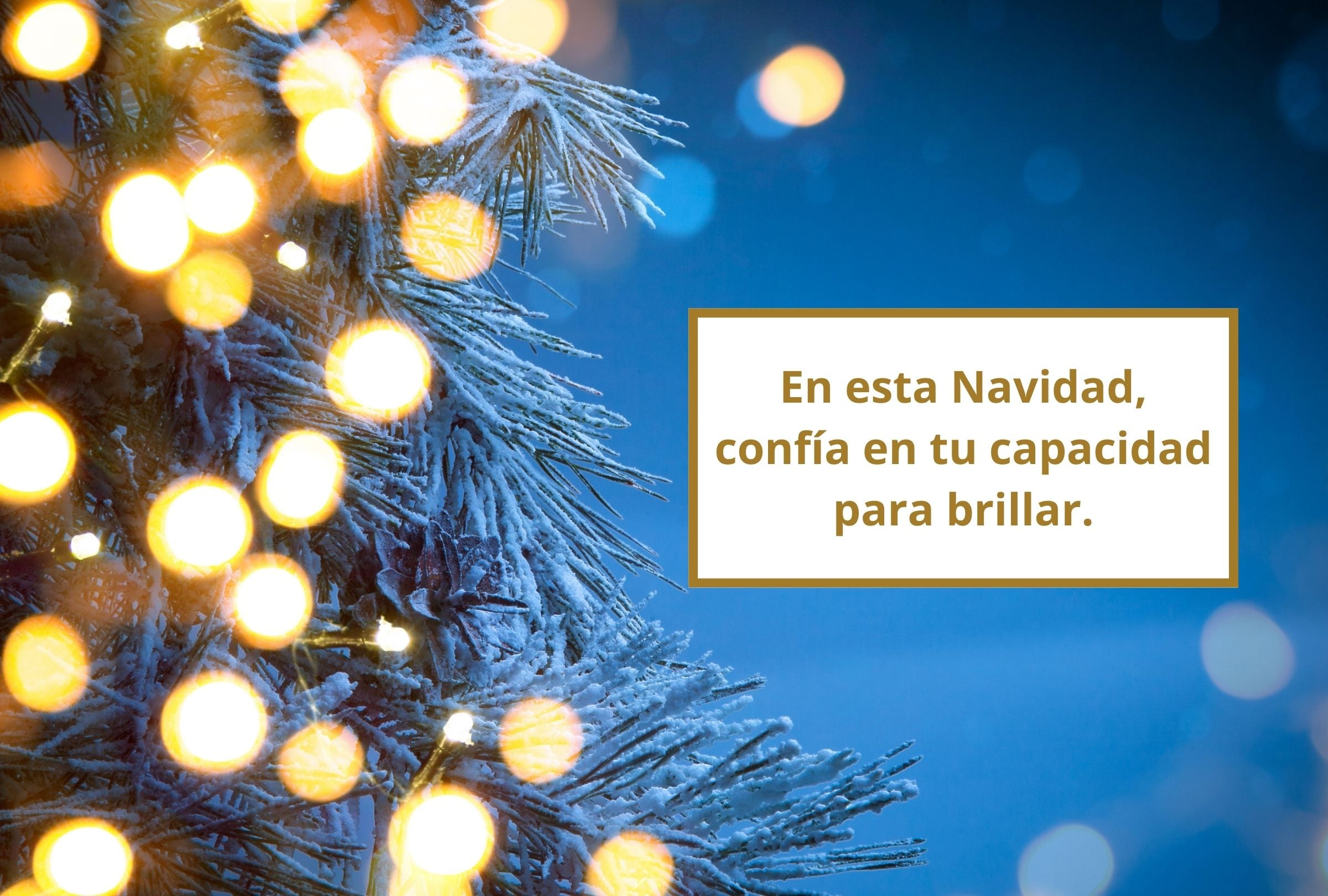 En esta Navidad, confía en tu capacidad para brillar. (Foto: Composición Gestión Mix)