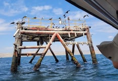 Detienen retiro de plataforma petrolera abandonada donde se formó un arrecife artificial