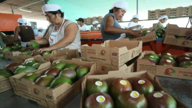 El transporte es el principal problema para exportar mangos a Asia Pacífico