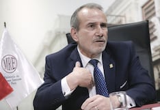 El canciller Schialer se reunirá con Edmundo González en “defensa de la democracia en Venezuela”