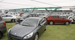 Preferencias de marcas y precios en la compra de autos, ¿hacia adónde apunta la demanda?